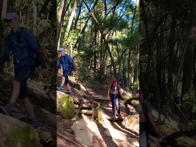 A Hike in the Sintra Mountains #shorts #hiking