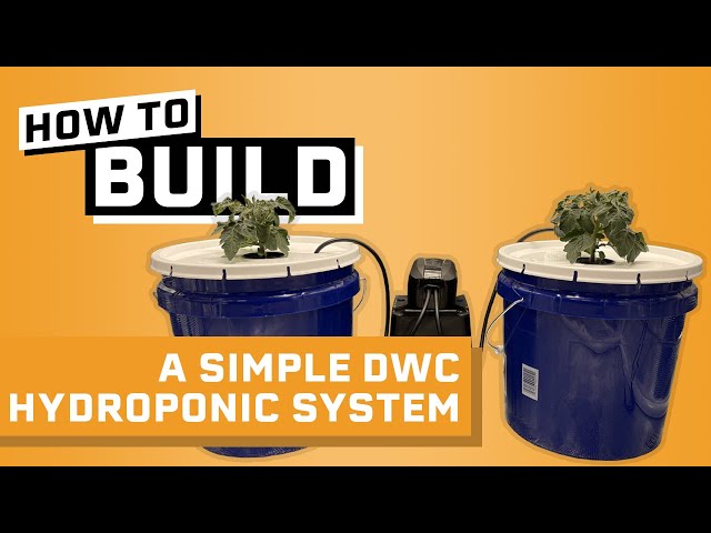 How to Build a Hydroponic System Under $30 - Deep Water Culture Hydroponics