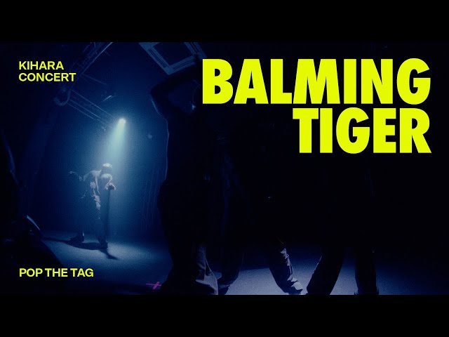 Balming Tiger · POP THE TAG (live) | KIHARA Concert