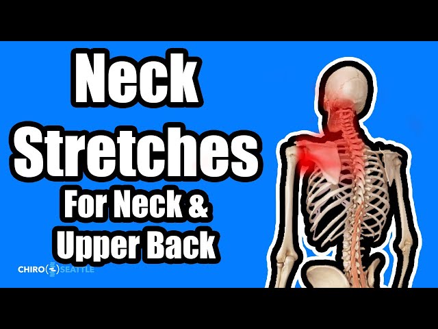 How To Perform Neck Stretches l Stretch for Neck and Upper Back Pain