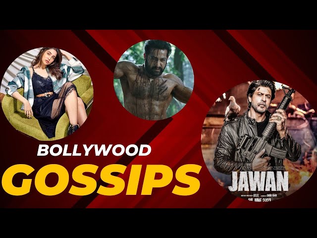Bollywood News Update of the Week. Jawan, Pathan, War 2, YRF Spy Universe - MOVIE MONGERS