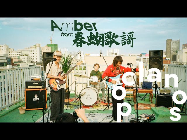 [MV] 블루터틀랜드 (Blue Turtle Land) - Amber / Official Music Video