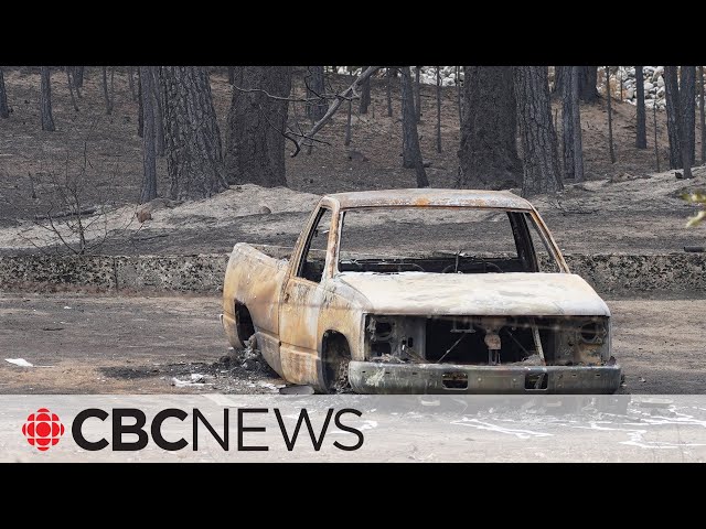 B.C. wildfires: 189 properties destroyed by McDougall Creek wildfire