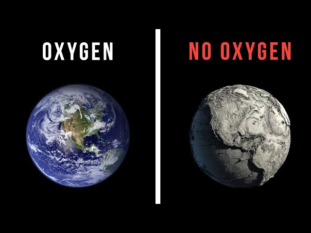 What Would Happen If The World Lost Oxygen For 30 Seconds