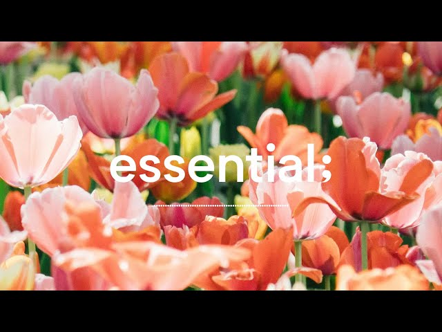 [Playlist] 4 hours spring mood pop