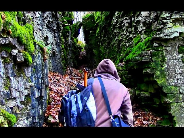 Survival Hike- Birch Tinder & Cedar Tea