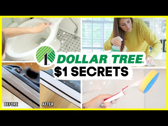 DOLLAR TREE CLEANING HACKS | $1 cleaning secrets you gotta try!