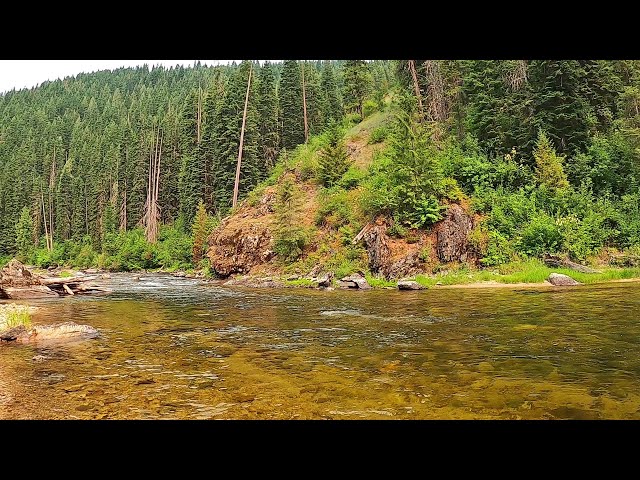 THE PERFECT STREAM- You might fish your entire life and never find a better one - 2 month trip p28