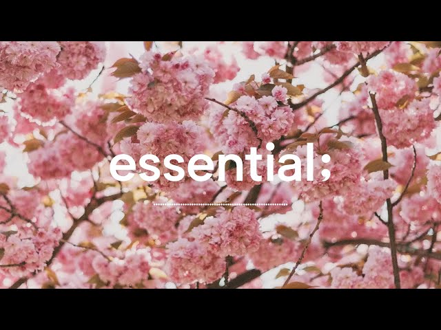 [Playlist] 킁킁, 어디서 꽃 냄새 안나요? 🌸ㅣ벚꽃이 만개한 봄! 핑크빛 팝 플레이리스트ㅣcherry blossom spring pop 🌸