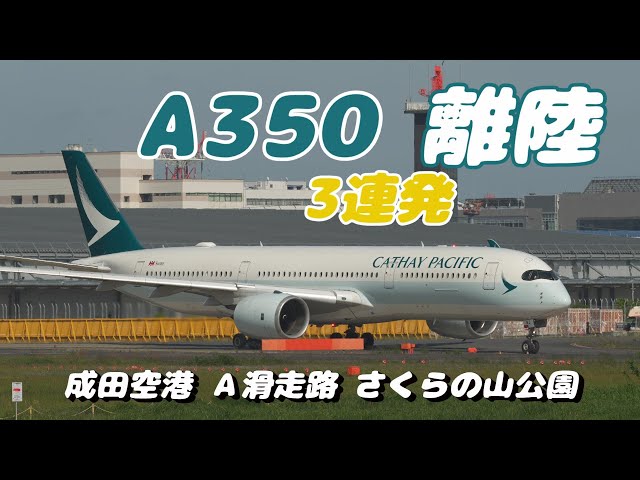 【4K】成田空港 さくらの山公園 Aランより離陸するA350３連発
