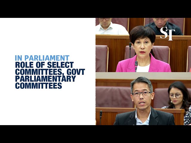 Questions raised about role of select committees, government parliamentary committees