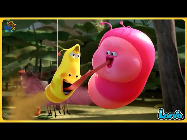 LARVA FULL EPISODES: FLY WITH PINK | CARTOONS COMEDY FUNNY CLIP 2024 | CARTOONS MOVIES NEW VERSION