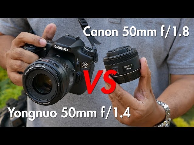 Duel lensa fix 50mm murah: Canon vs Yongnuo