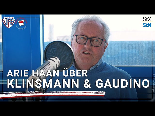 Ex-VfB-Trainer Arie Haan: "Gaudino & Klinsmann, das ging nicht."  - MeinVfB X BrustringTalk | Pt.2