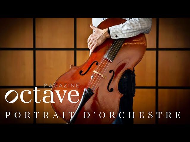 Portrait d’orchestre #12 : le violoncelle