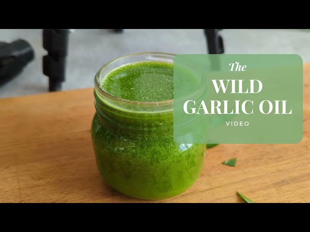 DIY Wild Garlic Oil Recipe! 🌿✨🔥