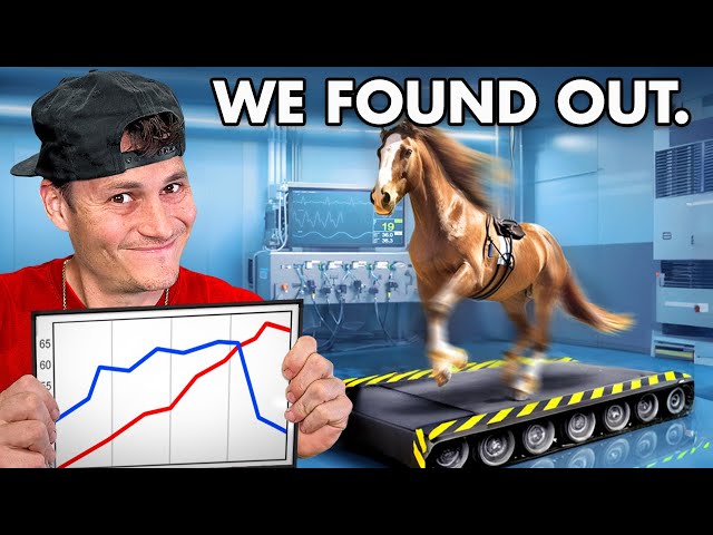 How Much Horsepower is a Horse?