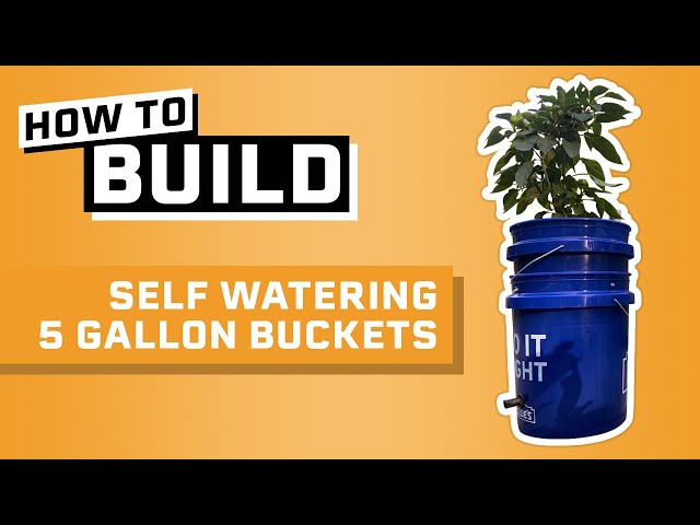 How to Build: Self Watering 5 Gallon Buckets