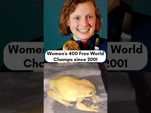 Every Women's 400m Freestyle World Champion since 2001 | #sports #swimming #AQUADoha2024