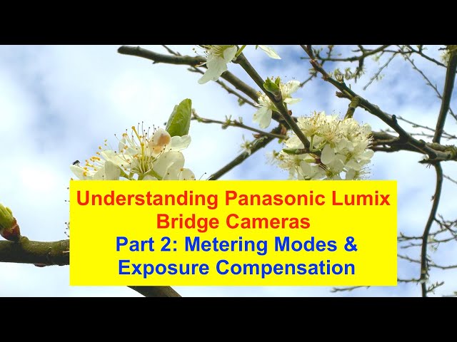 Understanding Panasonic Bridge Cameras #2  Exposure Metering