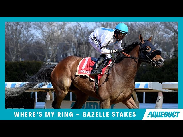Where's My Ring - 2024 - The Gazelle