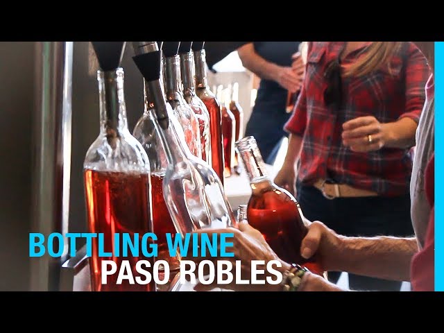 BOTTLING WINE IN PASO ROBLES // ZIP LINING OVER THE VINEYARDS (RV CALIFORNIA)