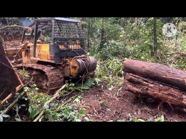 Komatsu LE70 and Excavator Hitachi pulling logs