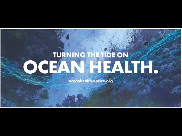 Foreign Affairs LIVE: The Wendy Schmidt Ocean Health XPRIZE Awards