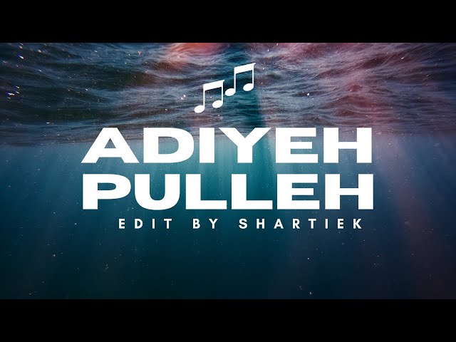 Adiyeh Pulleh Full Song | SHARTIEK EDITZ | Havoc Brothers Song