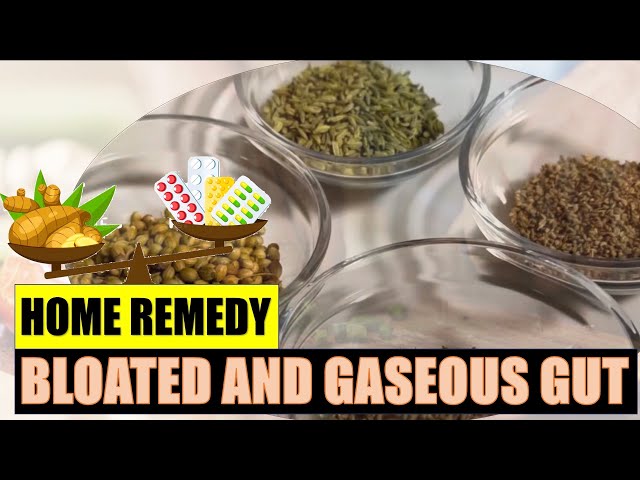 Remedies for bloated/gaseous gut - Food Medicine