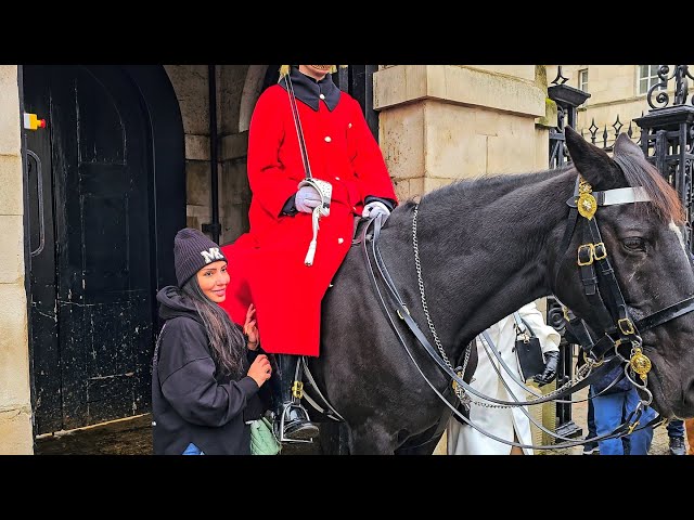BOOTS, CLOAK and the REINS! Dense tourist TOUCHES all three at Horse Guards!