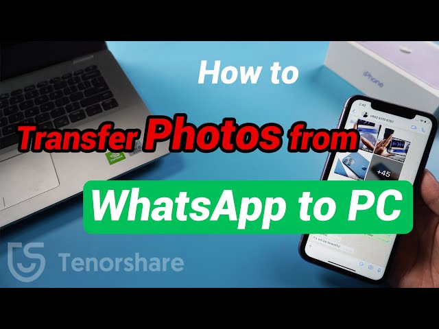 How to Transfer Photos from WhatsApp to PC 2020