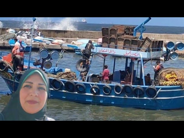 حملة مقاطعة الاسماك من ميناء المكس|اسكندرية