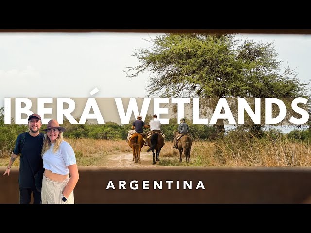 Ibera Wetlands, Argentina - A MUST DO in South America in 2024!