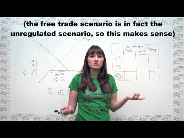 Microeconomics Practice Problem - International Trade with Imports