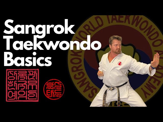 Taekwondo Basics | FREE Martial Art lesson 🥋