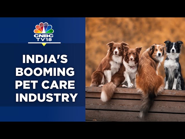 India's Pet Care Industry Is Set To Touch ₹10,000 Cr By 2025 | N18V | CNBC TV18