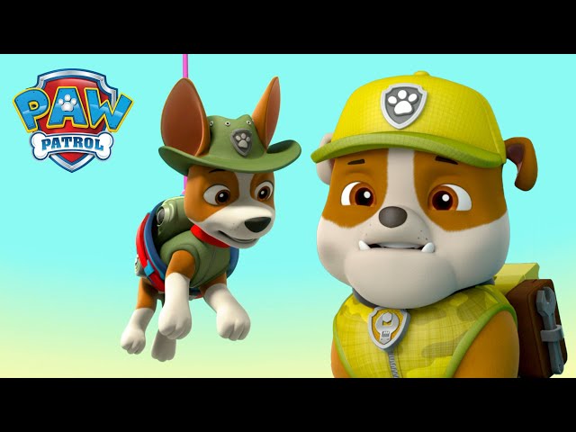 Les chiots de Jungle Rescue sauvent Tracker, le petit singe Hairy! - PAW Patrol dessins animés