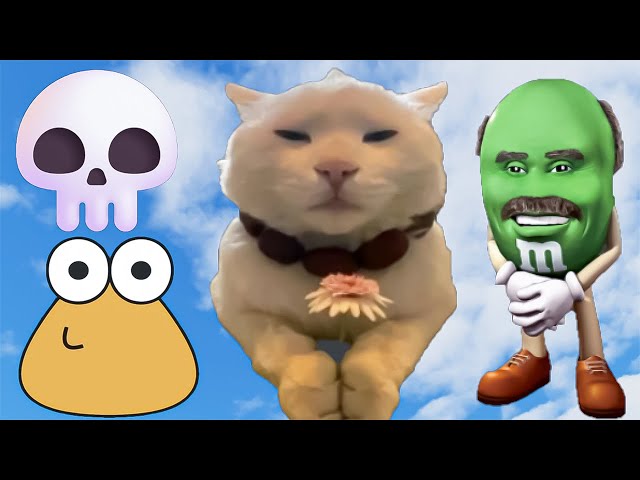 FIND the MEMES 2 *How to get ALL 5 NEW Memes* FLOWER CAT POOP DR. PHIL M & M SKULL EMOJI! Roblox
