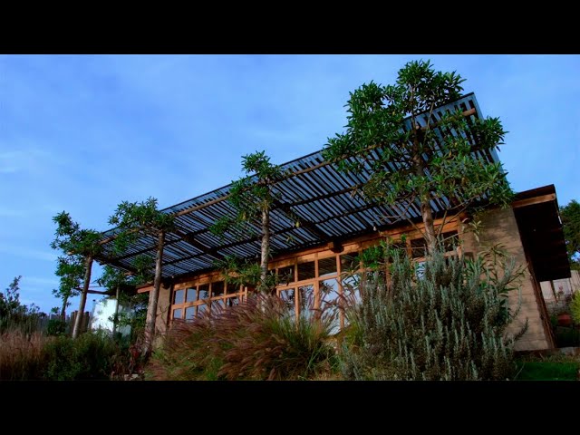 Building With Living Trees: The Story Behind Garden House