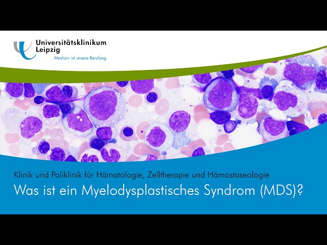 Was ist ein Myelodysplastisches Syndrom (MDS)?