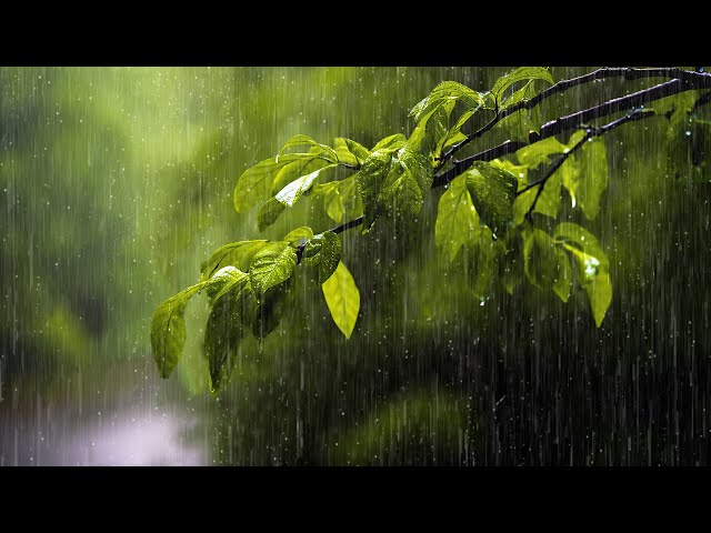 Soothing Relaxation • Relaxing Piano Music with Soft Rain Sounds ⛈ Sleep, Study, Relax