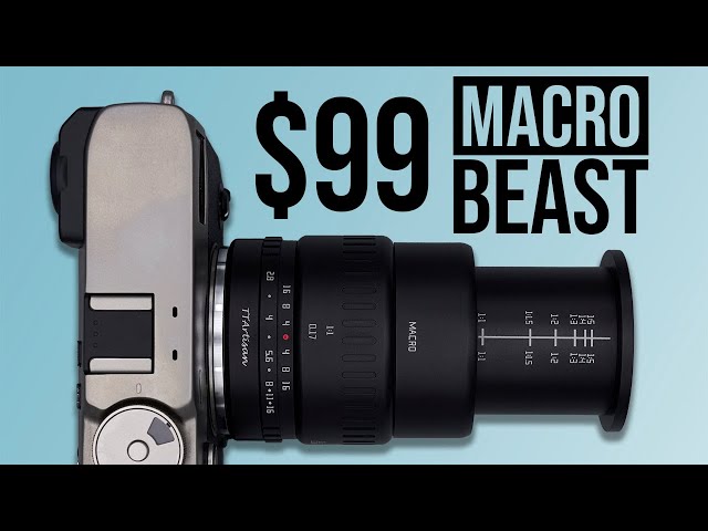 Best Macro Lens on BUDGET? TTArtisan 40mm f2.8