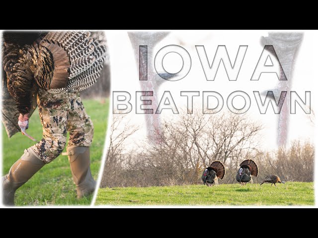 Iowa Spring Turkey Hunting!! | 3 Toms In The Decoys!!