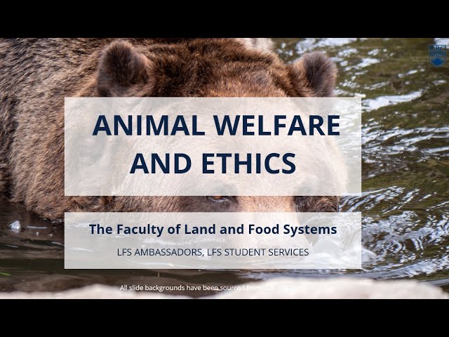 Animal Welfare and Ethics | LFS Fall Workshop Series 2021