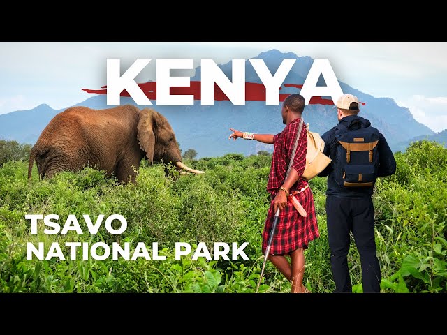 TSAVO | Kenya's LARGEST National Park (WILDLIFE, MAASAI, SAFARI)