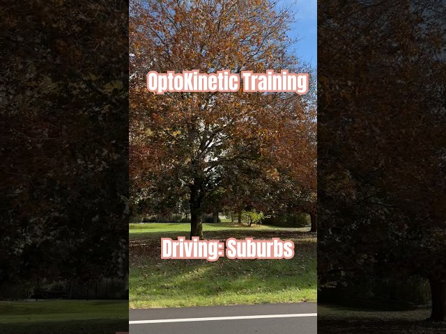 OptoKinetic Training for Visual Dizziness or PPPD #vestibular