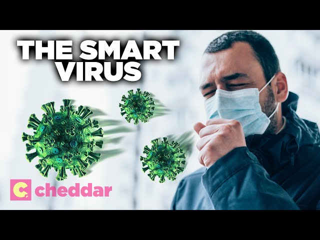 What Makes Coronavirus So Infectious? - Cheddar Explains