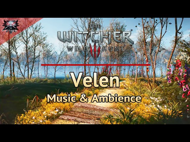 The Witcher 3 - Emotional and Relaxing Soundtrack | Velen | Music & Ambience for Study/Focus/Sleep