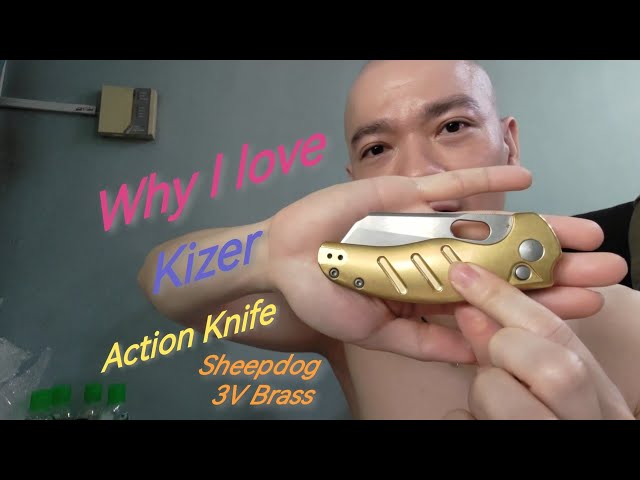 Why I love Kizer action knives - Brass Button Lock Sheepdog! 🗡️🔪⚔️